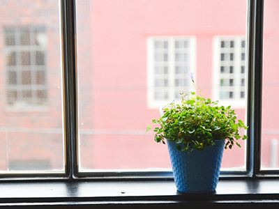 清新脱俗的在线ddos网页端